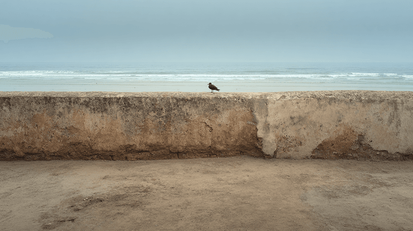 12-Day Grand Tour - Western Arc