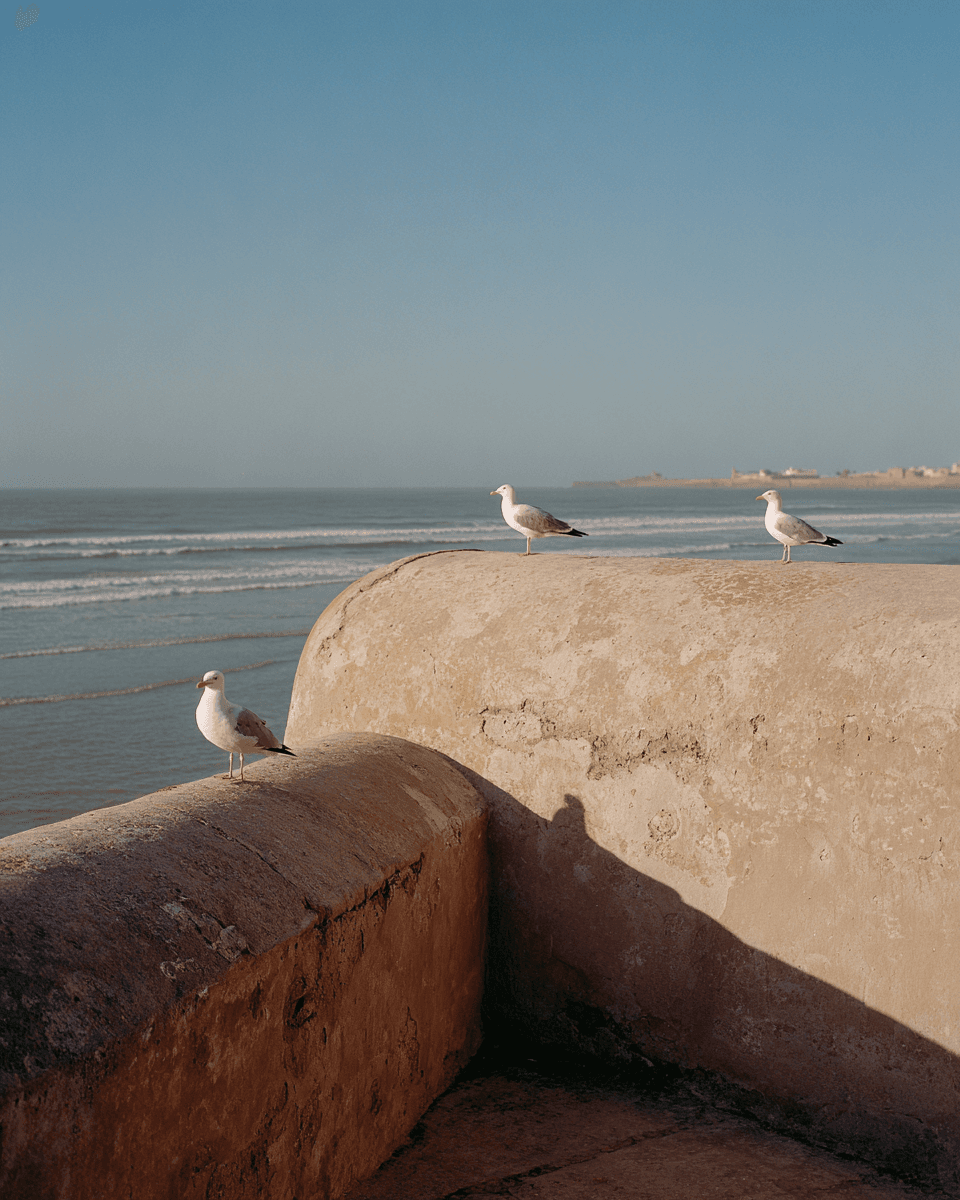 Essaouira
