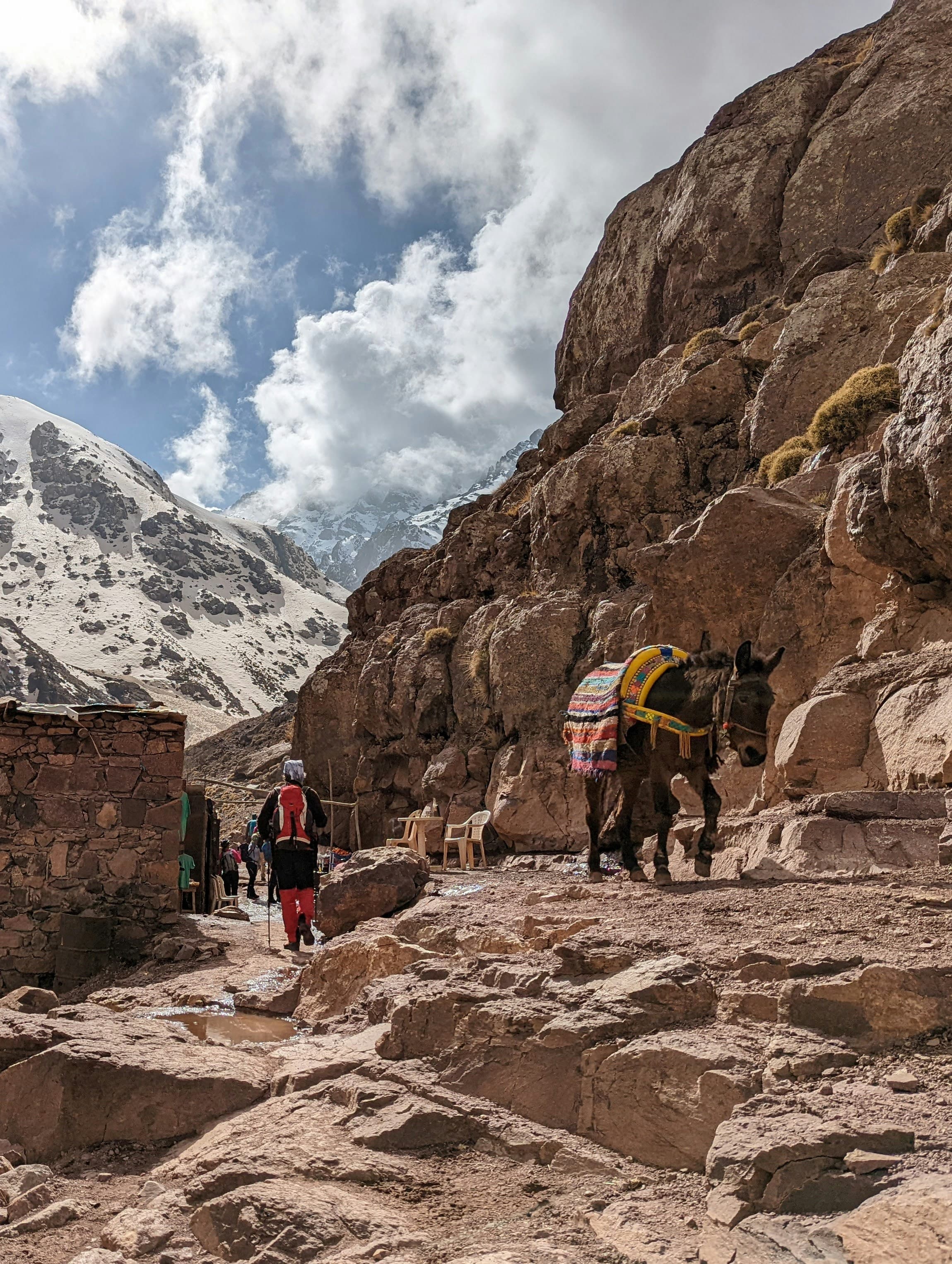 Jbel Toubkal Summit in imlil, Morocco - Natural