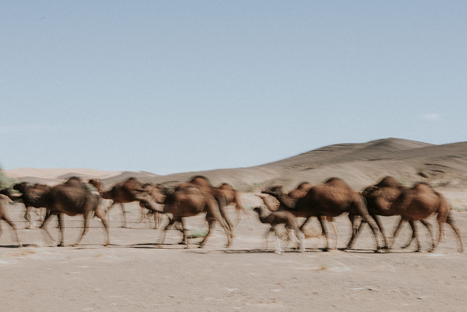 Private cultural journeys through Morocco - desert landscapes, ancient medinas, and Atlas Mountains